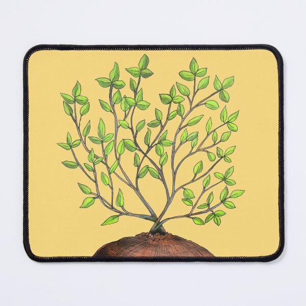 Item preview, Kokedama Plant designed and sold by LeighsDesigns.