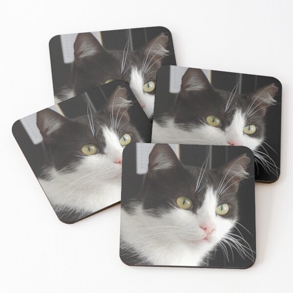 Item preview, Top Cat - A black and white cat with all-seeing mouser eyes.  designed and sold by rayscollection.