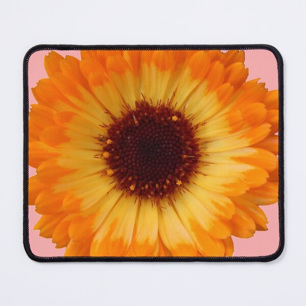 Item preview, orange daisy designed and sold by LeighsDesigns.