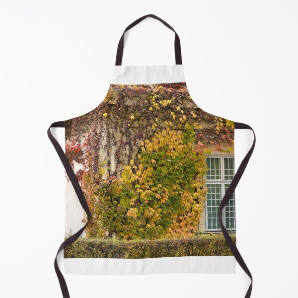 Item preview, old house wall with rustic wooden windows and creeper in Vienna autumn season designed and sold by goceris.