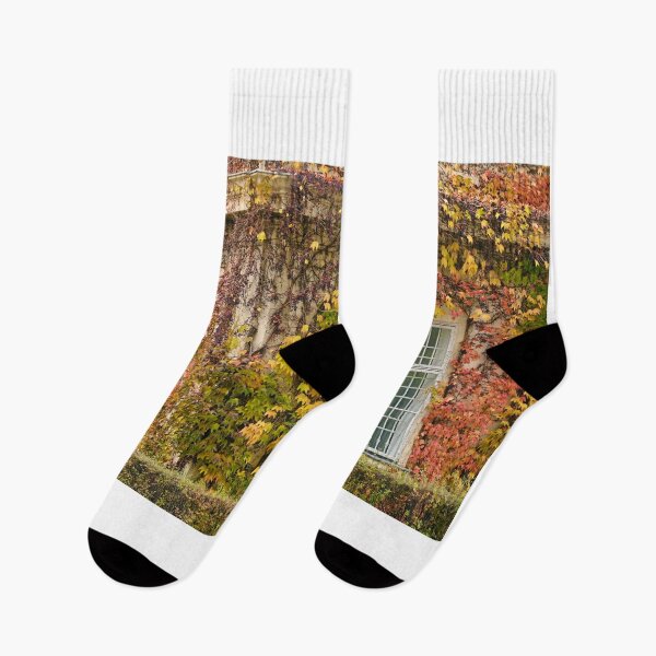 Item preview, old house wall with rustic wooden windows and creeper in Vienna autumn season designed and sold by goceris.