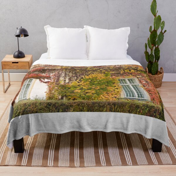 Item preview, old house wall with rustic wooden windows and creeper in Vienna autumn season designed and sold by goceris.