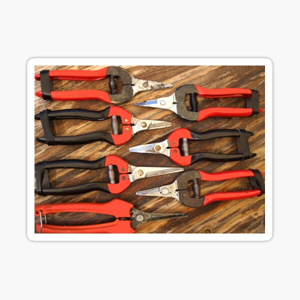 Vintage Grape Snips by Adelaide Artist Avril Thomas at Magpie Springs Sticker