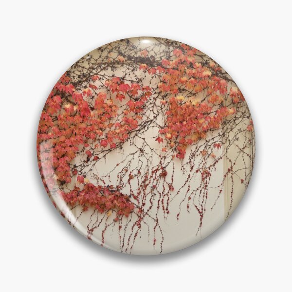 Item preview, wall with creeper plant colorful leaf in Vienna autumn season designed and sold by goceris.