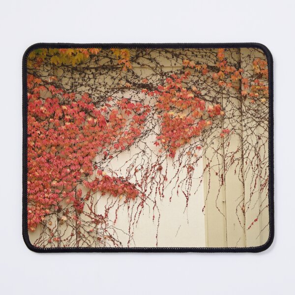 Item preview, wall with creeper plant colorful leaf in Vienna autumn season designed and sold by goceris.