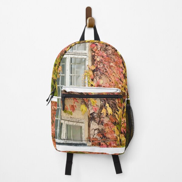Item preview, wall with wooden windows and creeper in Vienna autumn season designed and sold by goceris.