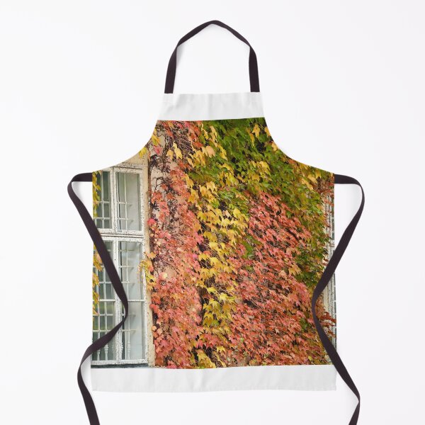 Item preview, wall with wooden windows and creeper in Vienna autumn season designed and sold by goceris.