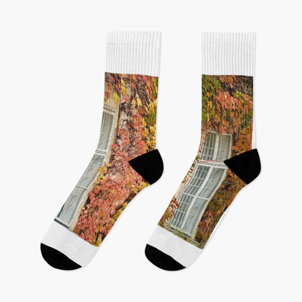 Item preview, wall with wooden windows and creeper in Vienna autumn season designed and sold by goceris.