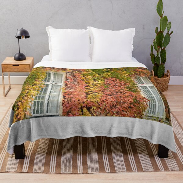 Item preview, wall with wooden windows and creeper in Vienna autumn season designed and sold by goceris.