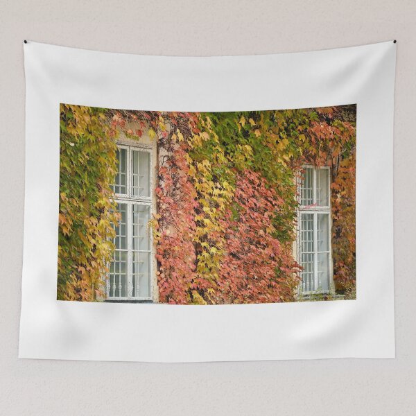 Item preview, wall with wooden windows and creeper in Vienna autumn season designed and sold by goceris.