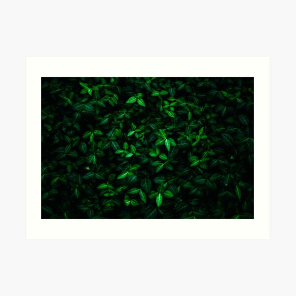Moody Green Leaves Art Print