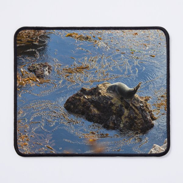 Item preview, Harbor Seal designed and sold by Yair Karelic.