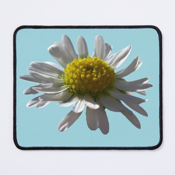 Item preview, Daisy designed and sold by LeighsDesigns.