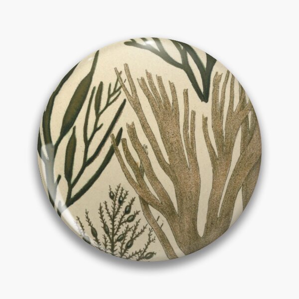 Item preview, Plants designed and sold by RALdesign.