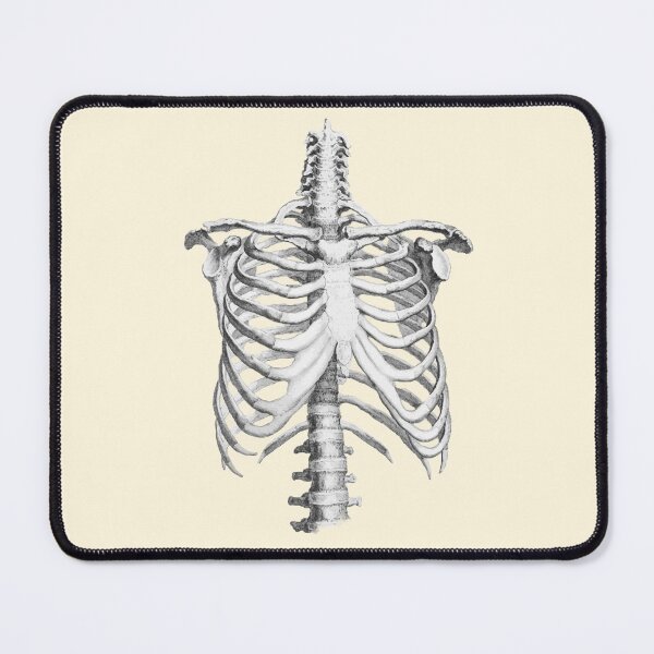 Item preview, Anatomy, ribcage, rib cage,skeleton designed and sold by Collagedream.