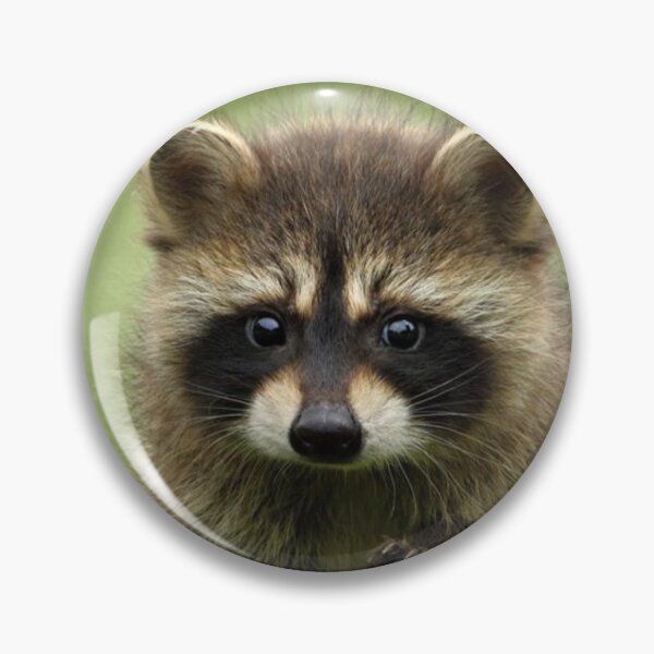 Item preview, RACOON RATON WASHER HD designed and sold by daviide.
