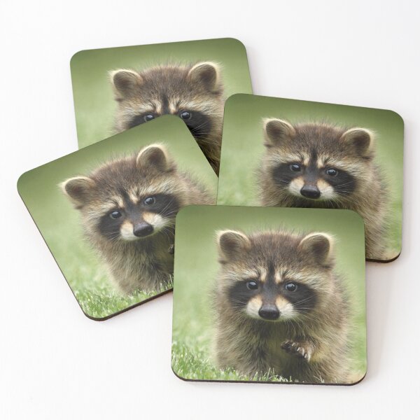 Item preview, RACOON RATON WASHER HD designed and sold by daviide.