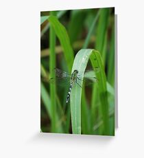 Green Dragon on green blade Greeting Card