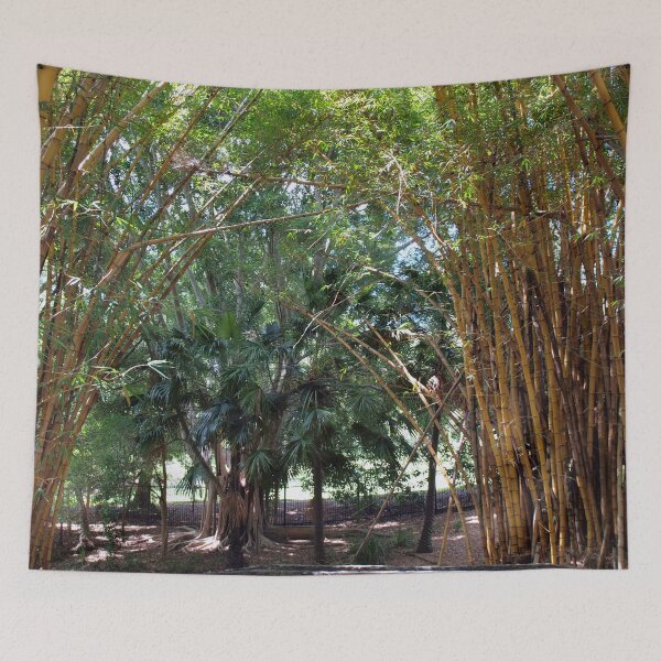 Item preview, Bamboo Grove designed and sold by W E NIXON  PHOTOGRAPHY.