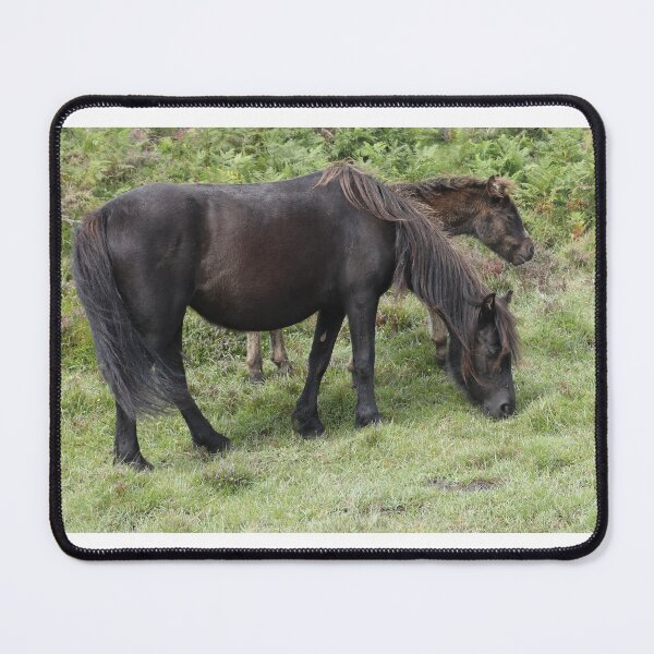 Item preview, Dartmoor pony + foal designed and sold by aquabella.