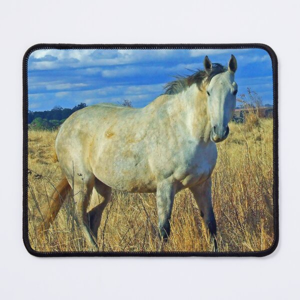 Item preview, Dapple Grey Horse in Winter Field designed and sold by Giftables.