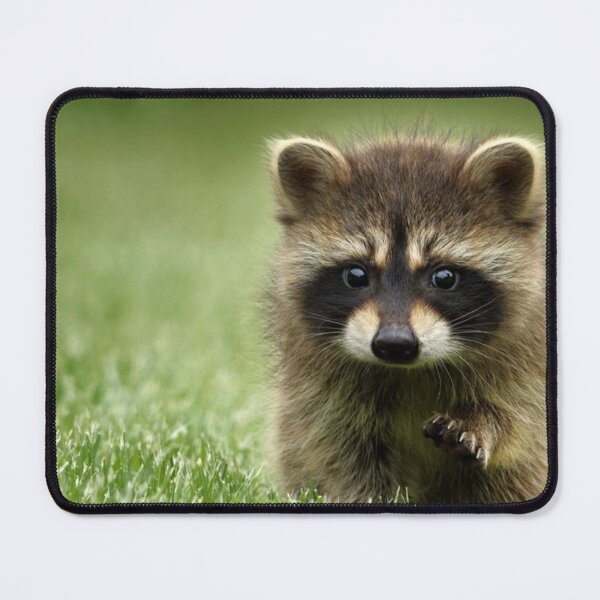 Item preview, RACOON RATON WASHER HD designed and sold by daviide.
