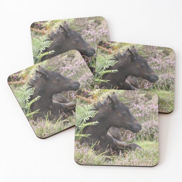 Item preview, Dartmoor pony  designed and sold by aquabella.