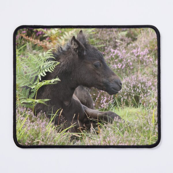 Item preview, Dartmoor pony  designed and sold by aquabella.