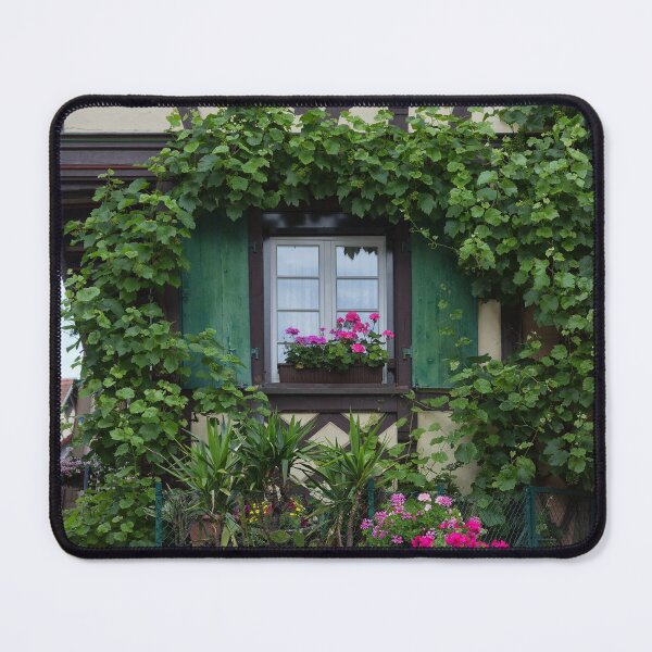 Item preview, Window and Vines designed and sold by Yair Karelic.