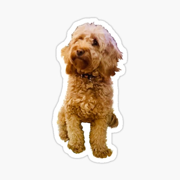 Item preview, Cavapoo Cavoodle puppy dog in green - cute cavalier king charles spaniel designed and sold by Artonmytee.