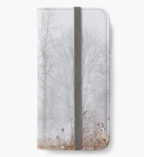 Winter storm on the mountain iPhone Wallet/Case/Skin