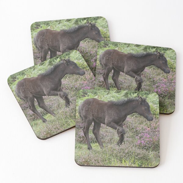 Item preview, Dartmoor pony foal designed and sold by aquabella.