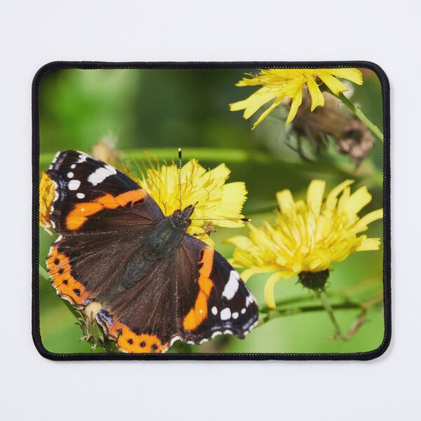 Item preview, Red admiral on Autumn hawkbit designed and sold by Jouko Lehto Photography.