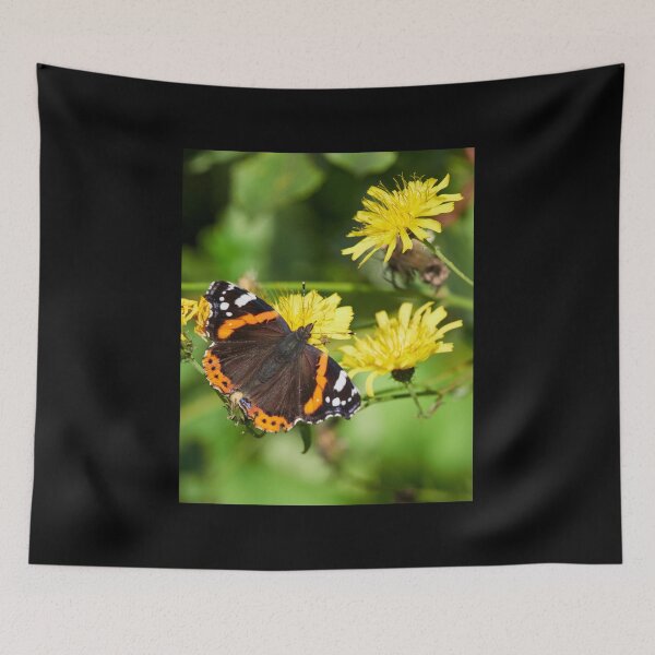 Item preview, Red admiral on Autumn hawkbit designed and sold by Jouko Lehto Photography.