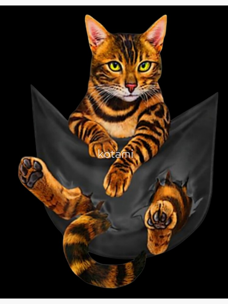 : Bengal Cat Anything Else Is Just A Cat Sweatshirts, Bengal Cat  Hoodies Outerwear : Clothing, Shoes & Jewelry