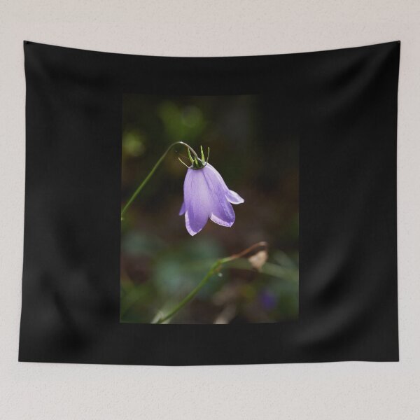 Item preview, Scottish bluebell designed and sold by Jouko Lehto Photography.