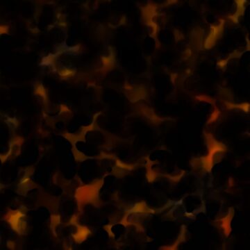 Imagen de la obra Concha de tortuga rojo oscuro de trajeado14