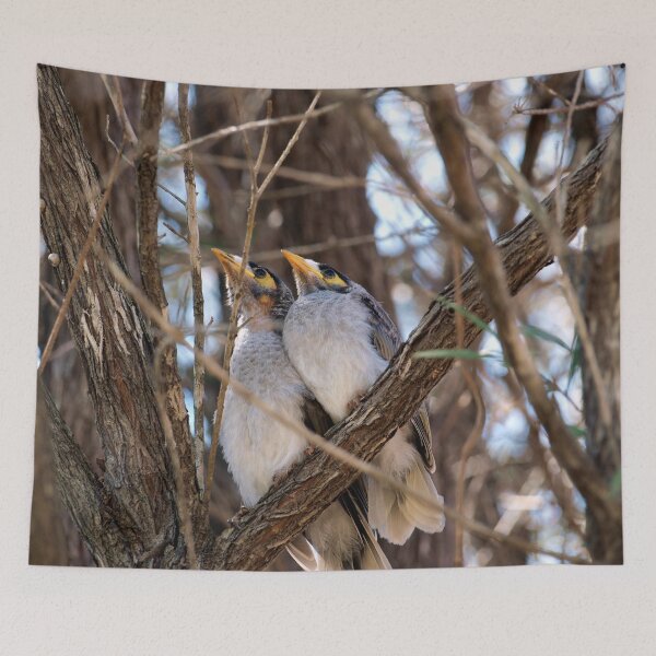 Item preview, Baby Noisy Miner's designed and sold by W E NIXON  PHOTOGRAPHY.