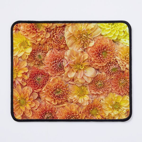 Item preview, Background of colorful chrysanthemums designed and sold by Photopat.