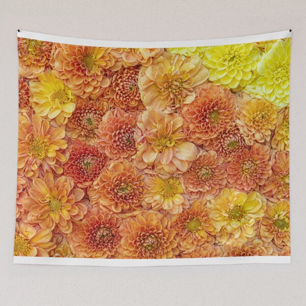 Item preview, Background of colorful chrysanthemums designed and sold by Photopat.