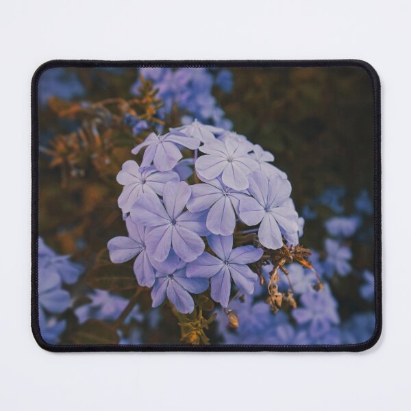 Item preview, Plumbaginaceae flower designed and sold by Brawnyink.