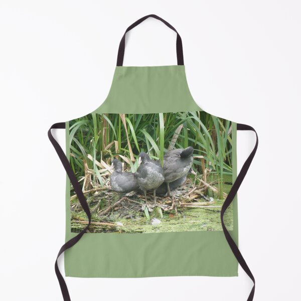 Item preview, Coot Chicks on the Nest Photograph designed and sold by naturegallery.