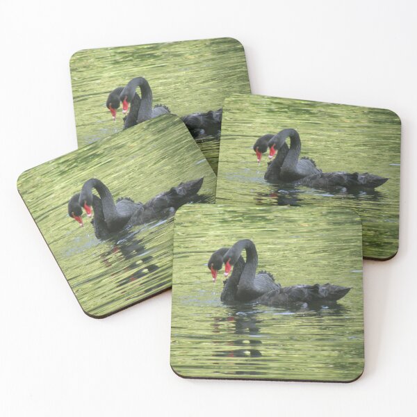 Item preview, Black Swans Swimming Together Photograph designed and sold by naturegallery.