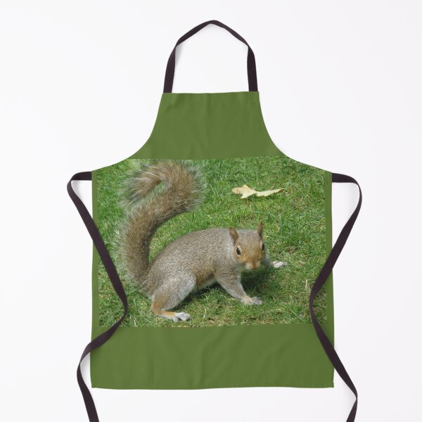 Item preview, Grey Squirrel with a Curly Tail Photograph designed and sold by naturegallery.
