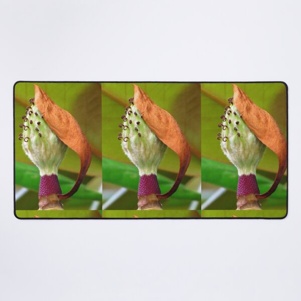 Item preview, Oh, Good Grief! designed and sold by Jean Gregory Evans.