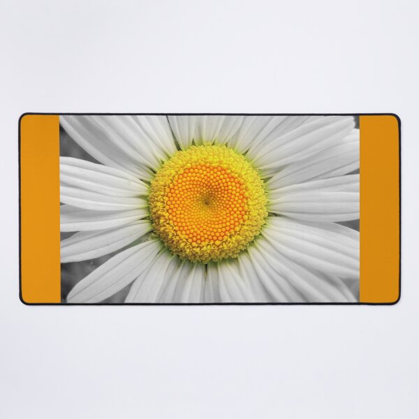 Item preview, A Daisy designed and sold by Jean Gregory Evans.