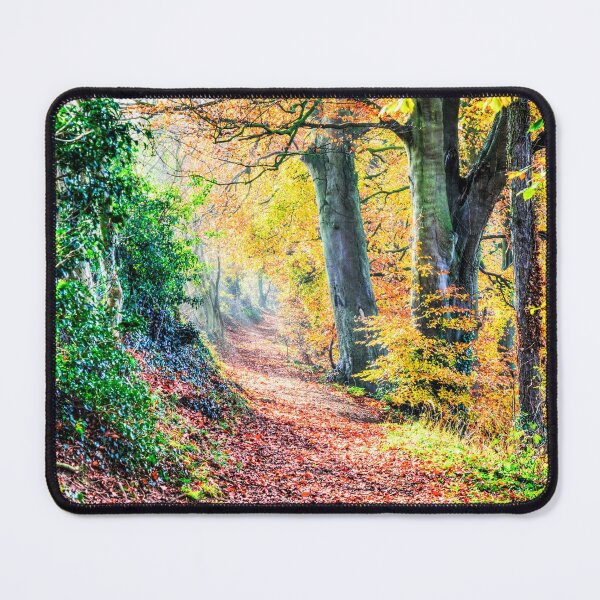 Item preview, Autumn Leaves Walk designed and sold by Paul Thompson Photography.
