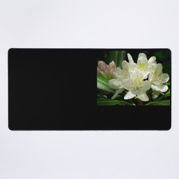 Item preview, American Rhododendron designed and sold by Jean Gregory Evans.