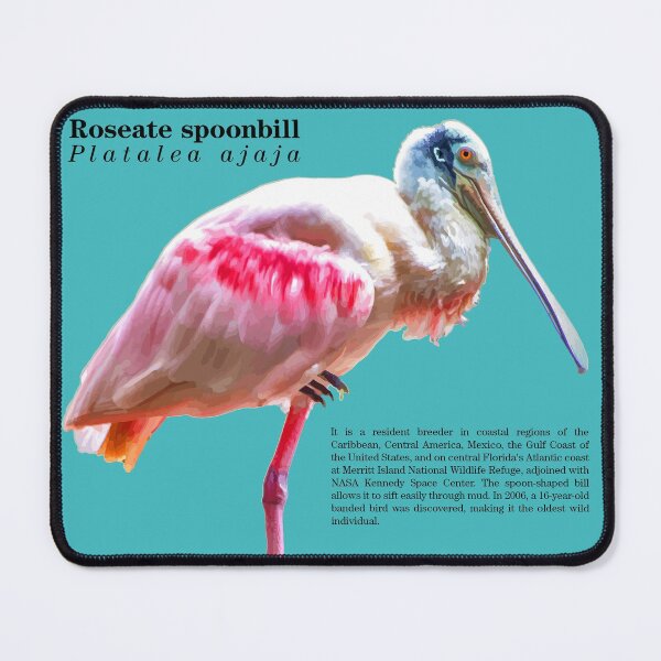 Item preview, Roseate spoonbill bird near the sea designed and sold by Mauricio Acosta.