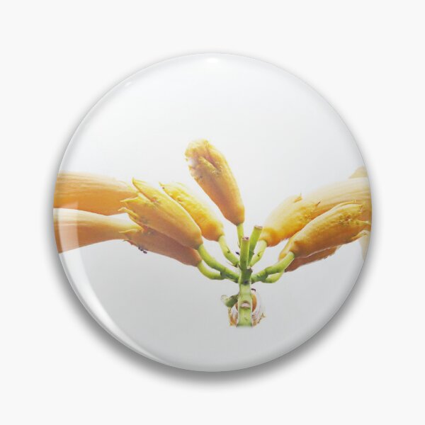Item preview, High key trumpets. designed and sold by Paul Pasco.